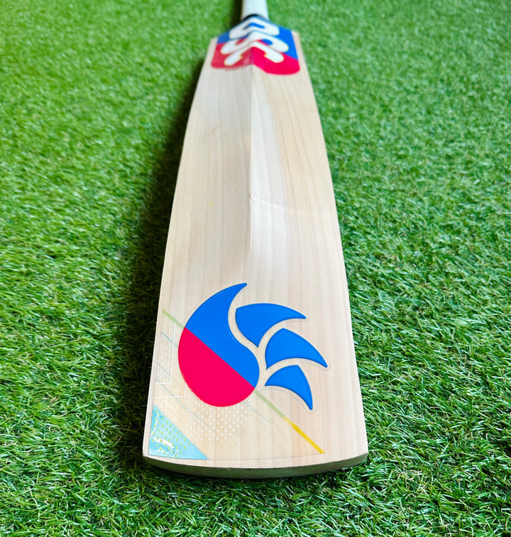 DSC Intense Shoc Cricket Bat