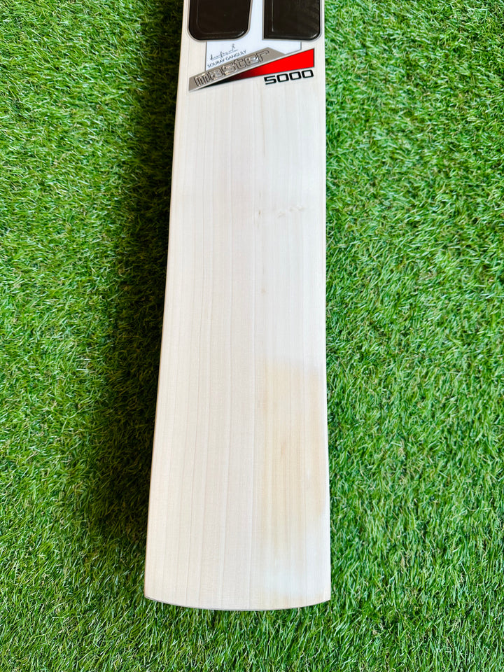 SS TON Master 5000 Cricket Bat