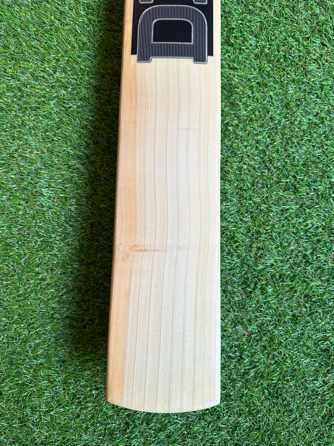 DKP Black Edition Cricket Bat | Harrow Size