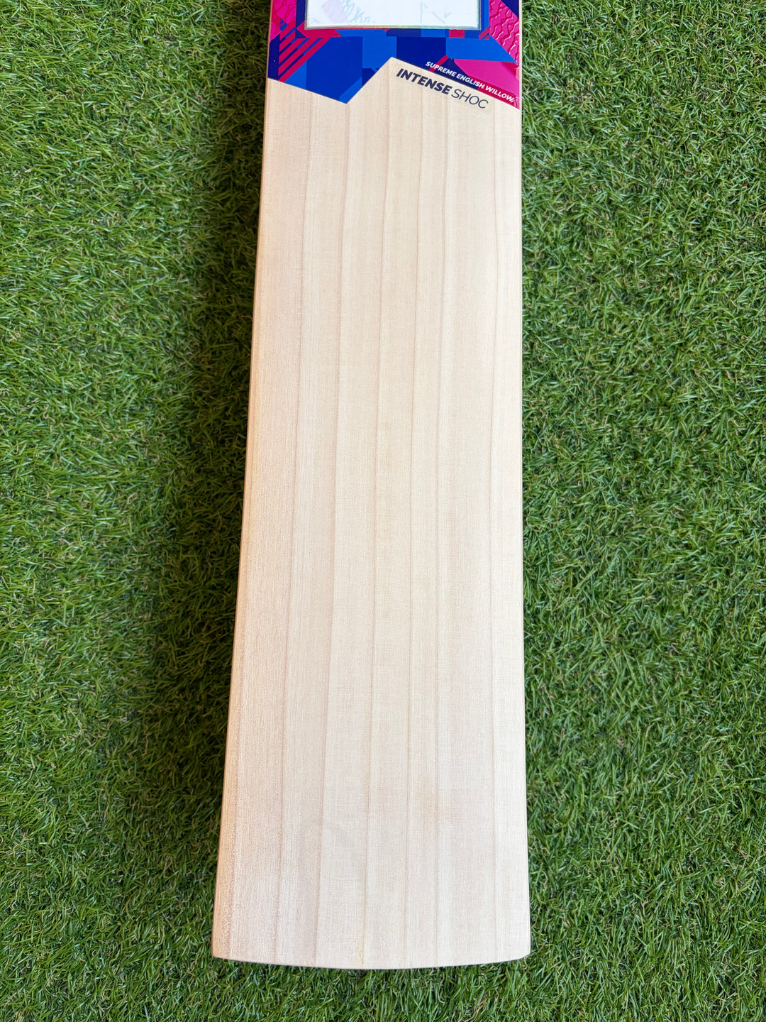 DSC Intense Shoc Cricket Bat