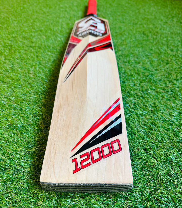 CA 12000 Pro Edition Cricket Bat