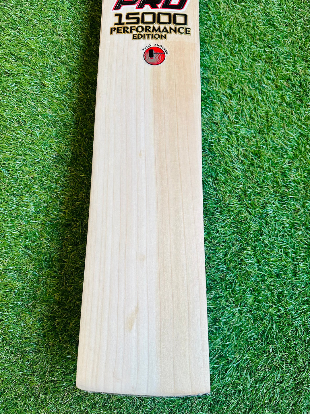 CA 15000 Performance Player Edition Cricket Bat