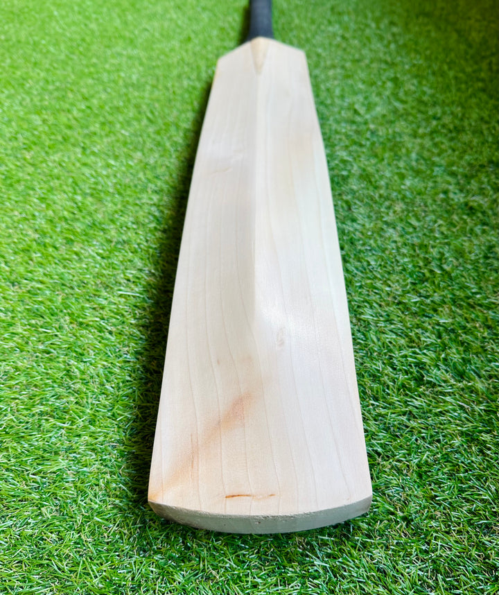 Plain Sachin Tendulkar Profile Cricket Bat 