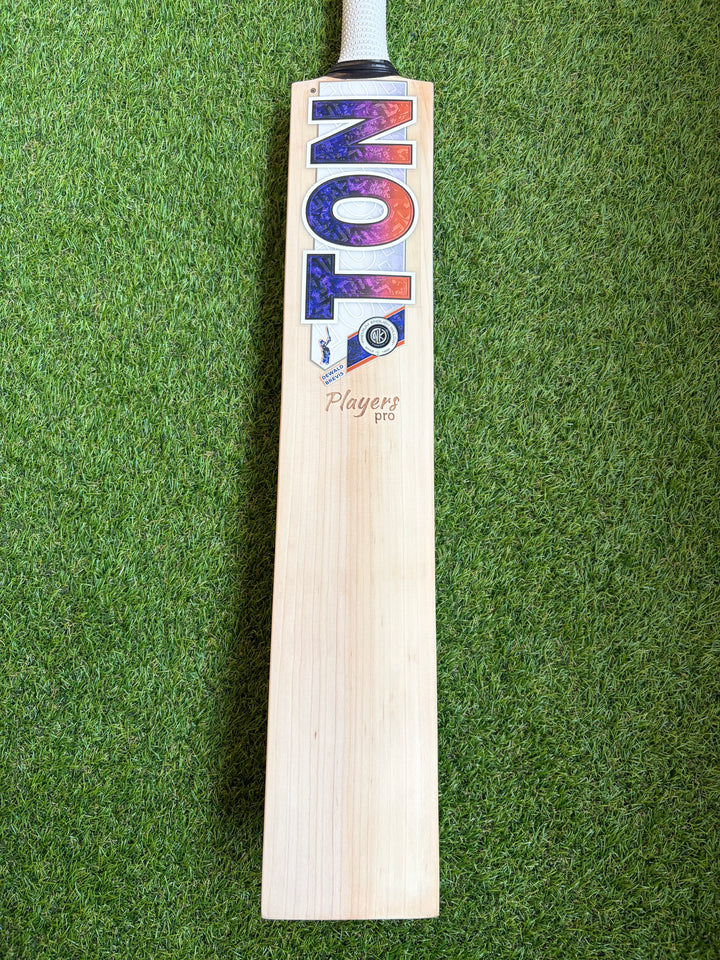 TON Players Pro Dewald Brevis Cricket Bat | New Model