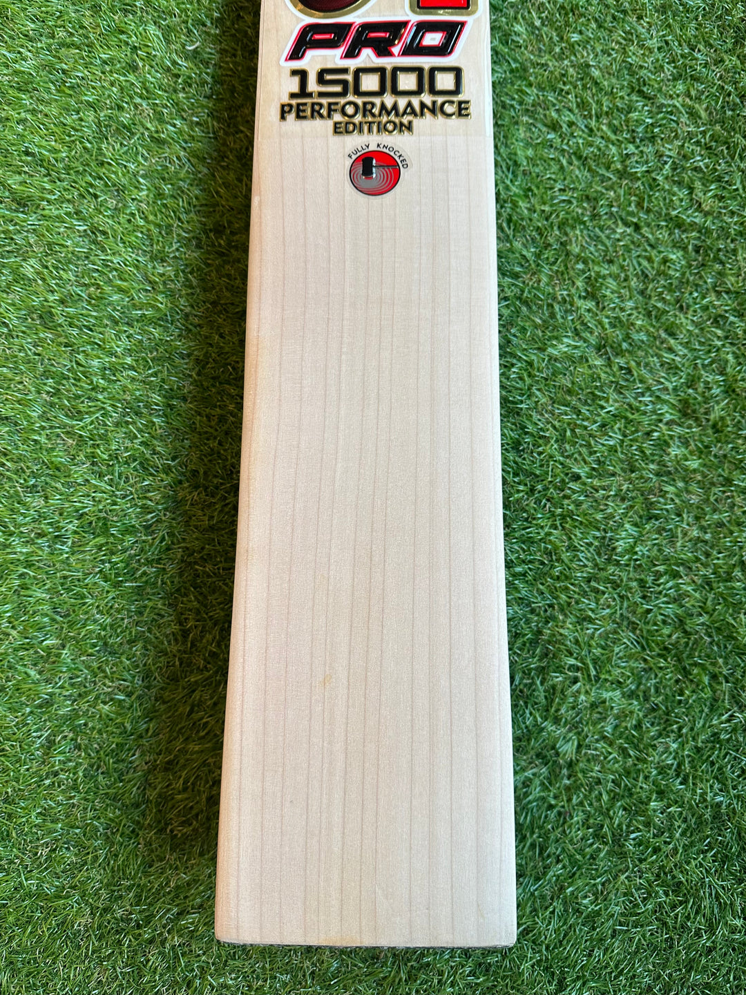 CA 15000 Performance Player Edition Cricket Bat