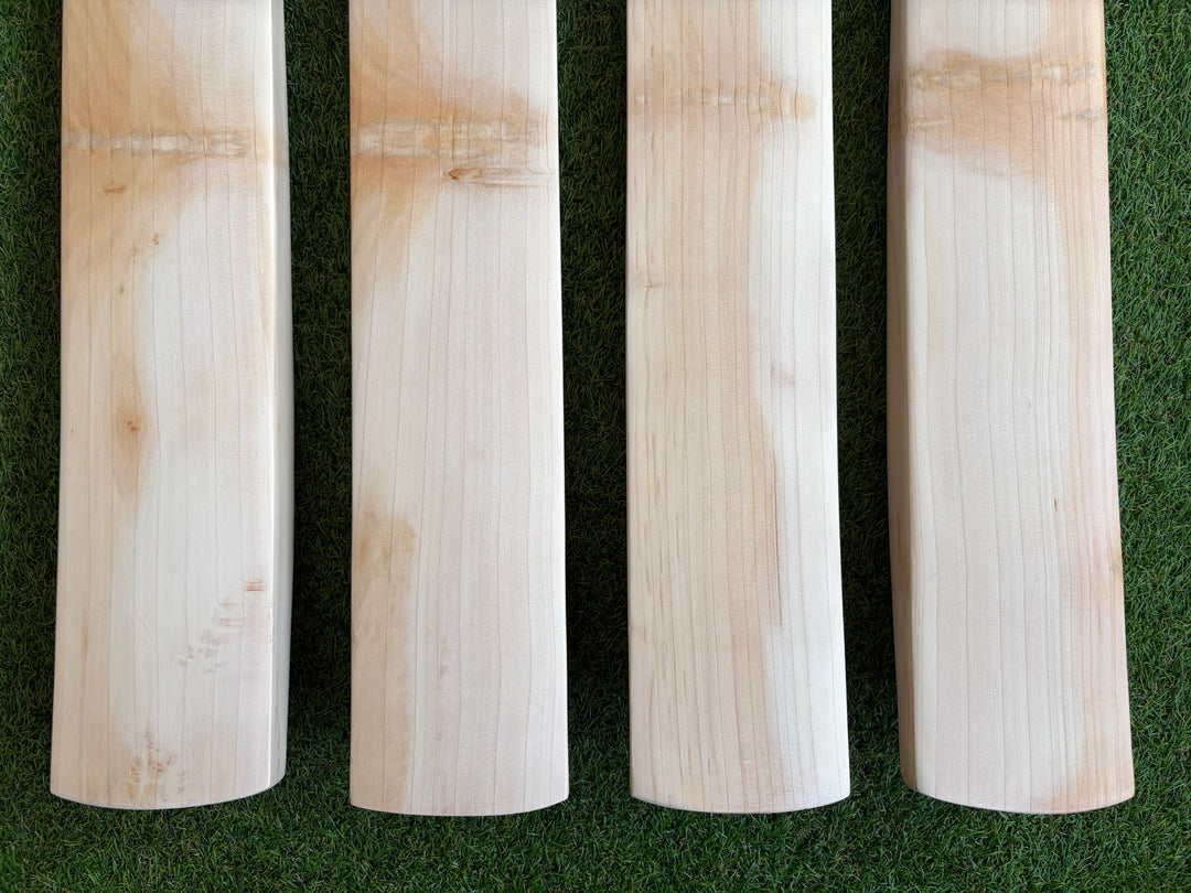 Plain Butterfly English Willow Cricket Bat