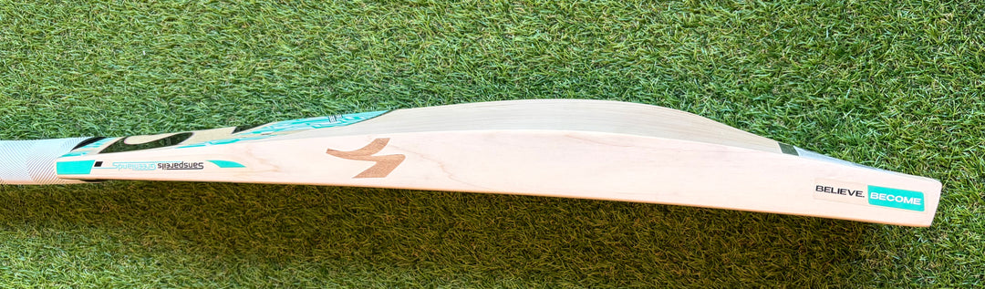 SG Players Edition Cricket Bat