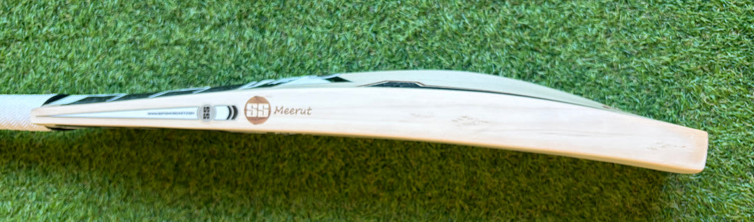 SS TON Sky 360 Players Cricket Bat | New Model