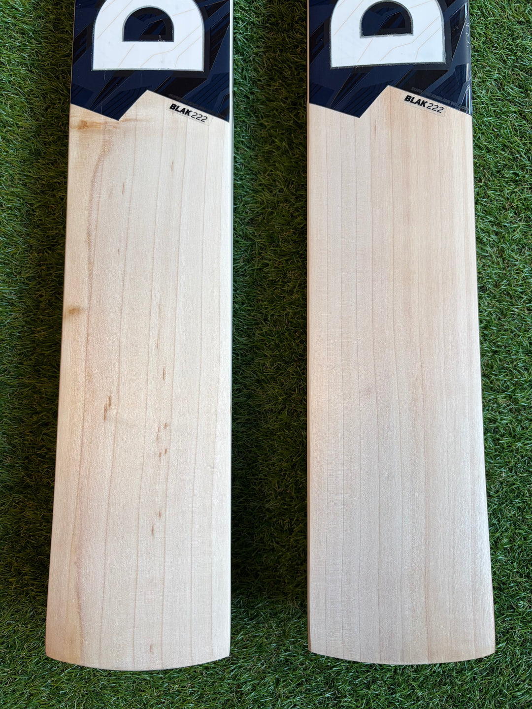 DSC Blak 222 Cricket Bat