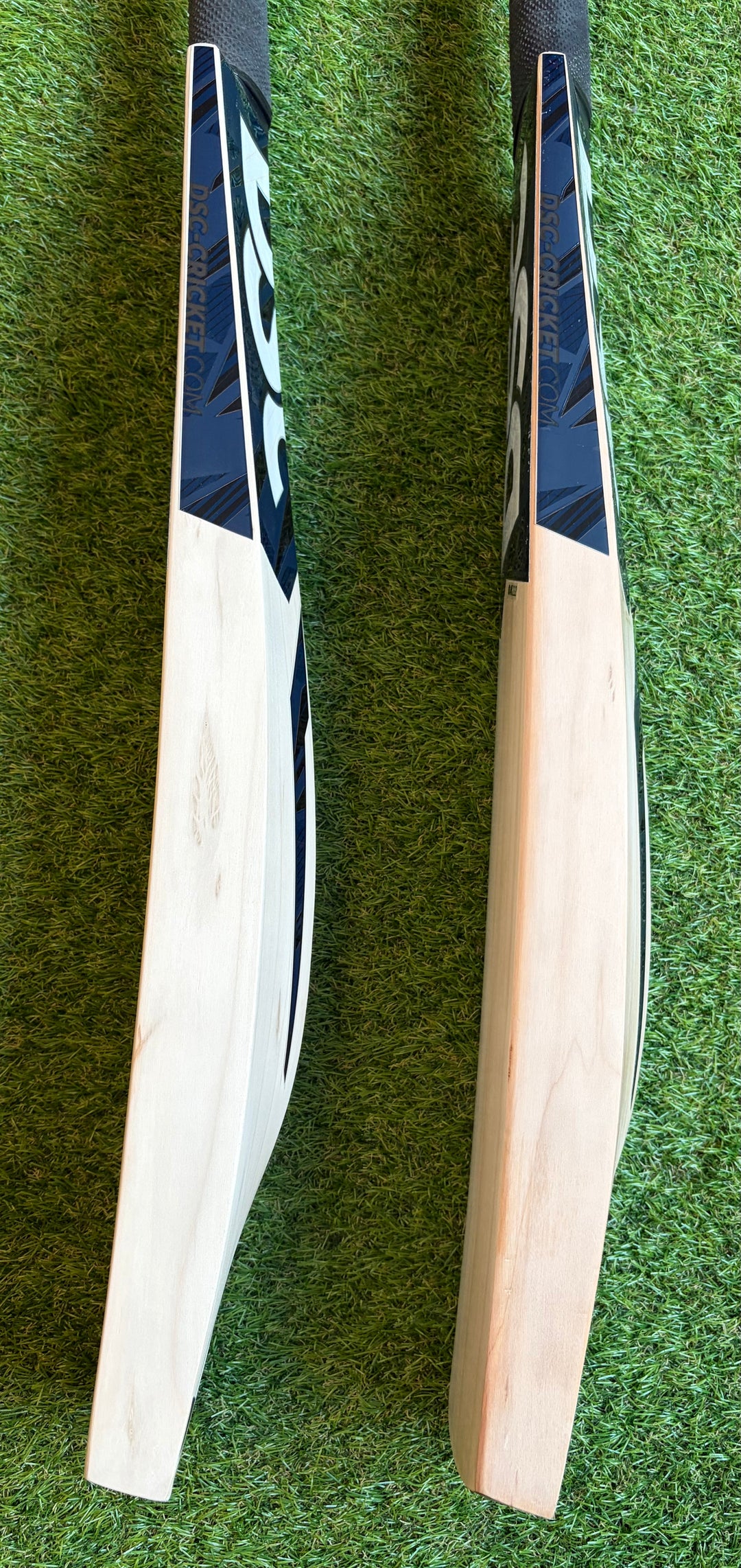 DSC Blak 222 Cricket Bat