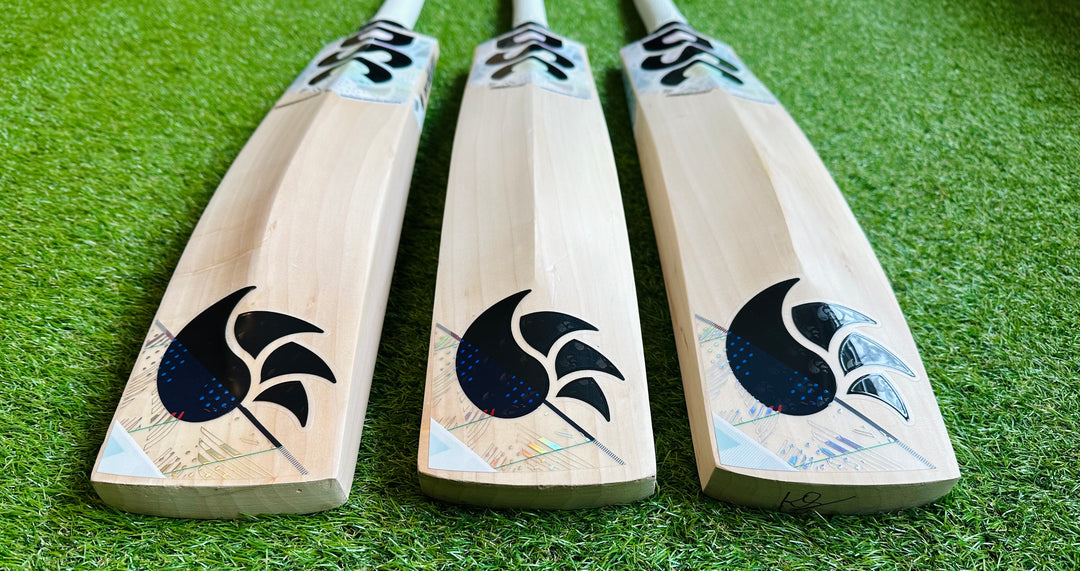 DSC Condor Glider Cricket Bat