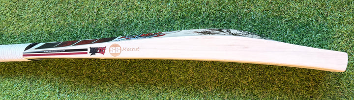 SS TON Devils Cricket Bat | Huge Profile