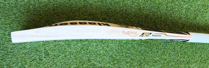 SS TON Players Pro Klaasen Cricket Bat