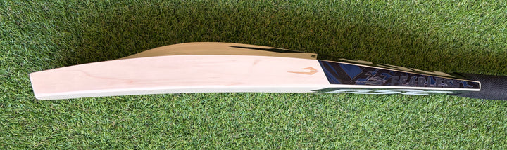DSC Blak 300 Cricket Bat