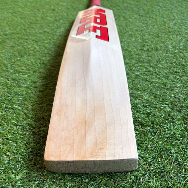 MRF Prince Edition Cricket Bat | New Model