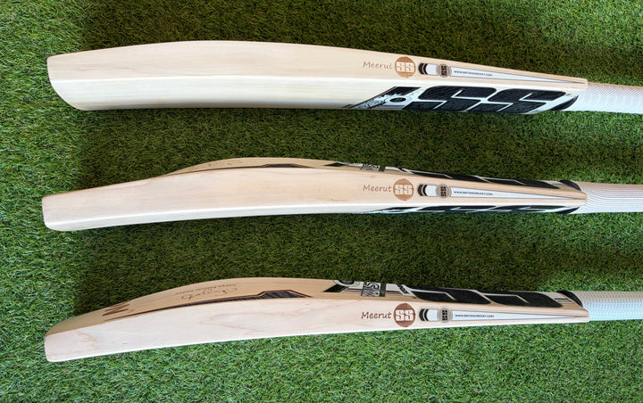 SS TON Sky 360 Players Cricket Bat | New Model