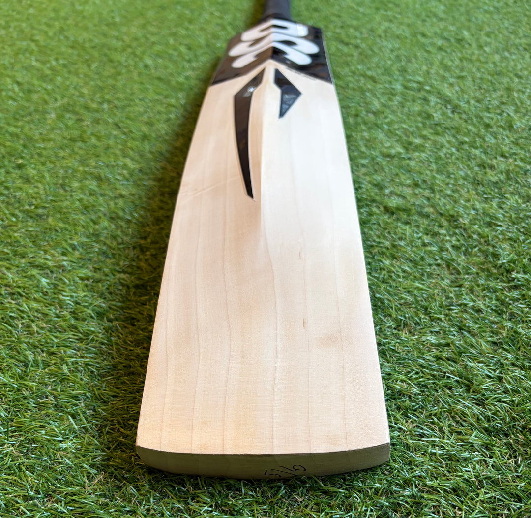 DSC Blak 300 Cricket Bat