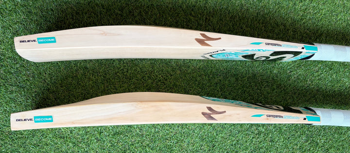 SG Players Edition Cricket Bat | New Model