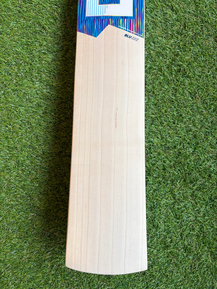DSC Blu 222 Cricket Bat