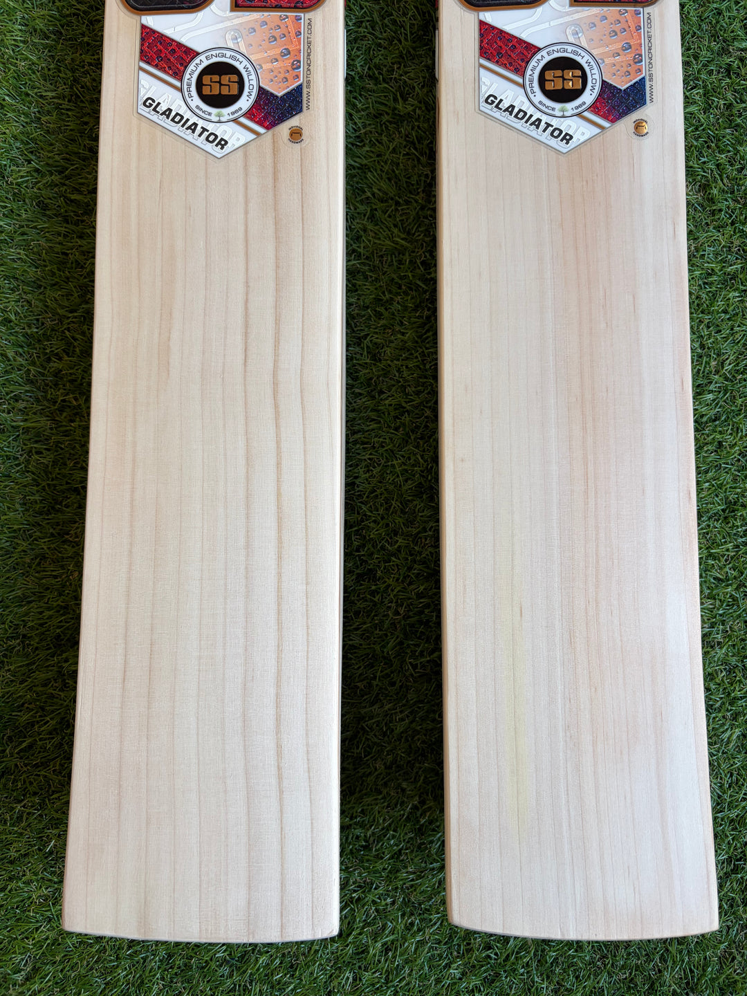 SS TON Gladiator Cricket Bat | New Model