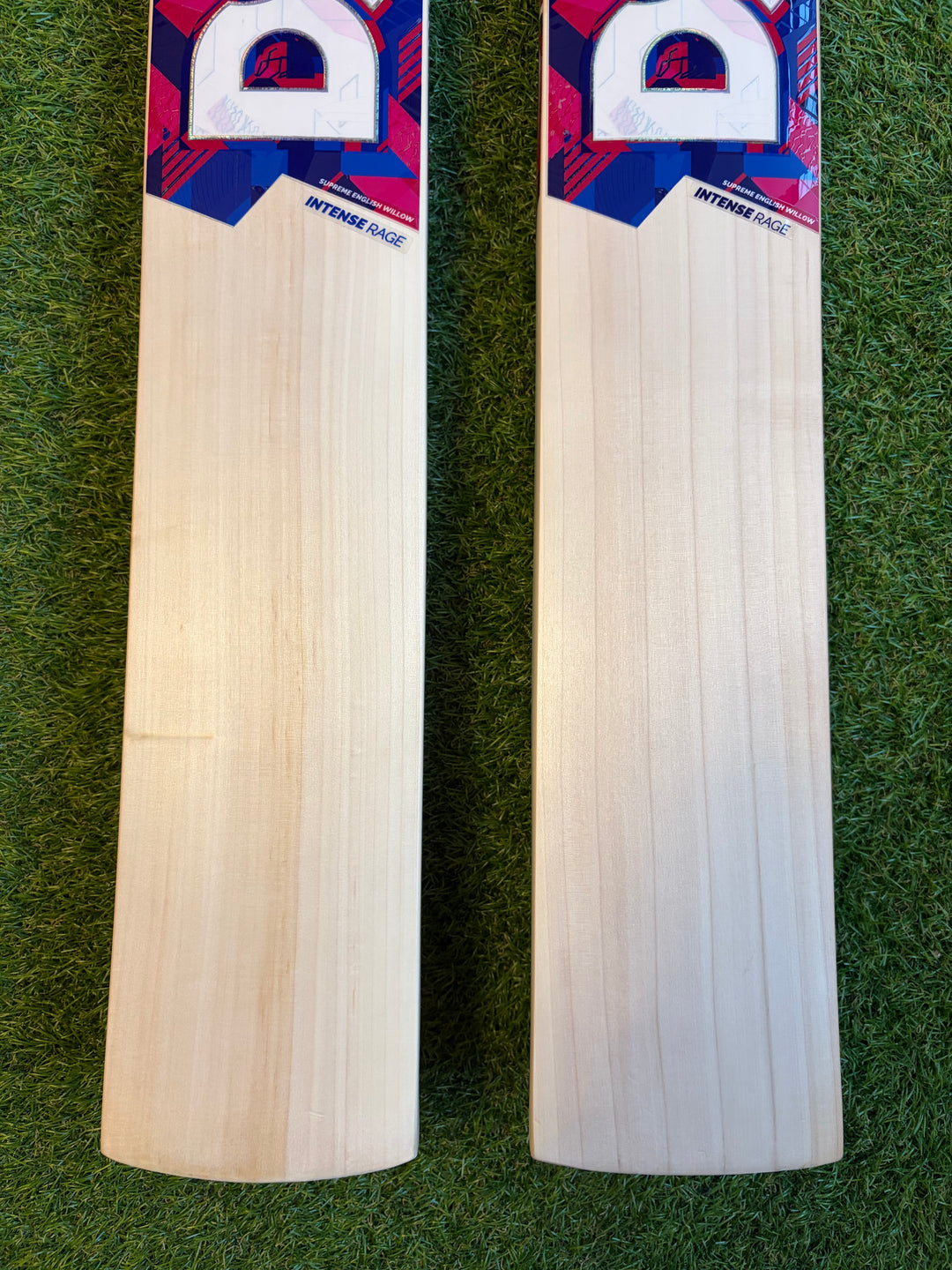 DSC Intense Rage Cricket Bat | Harrow Size | 14 Grains