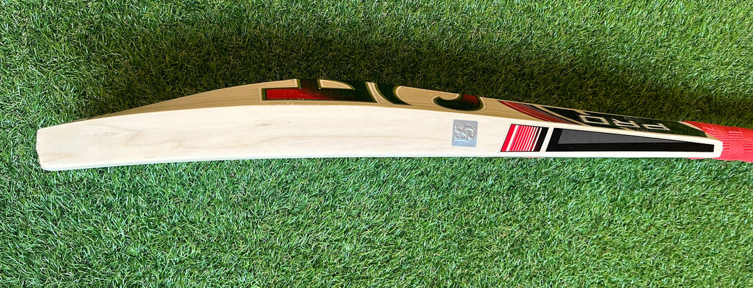 CA 15000 Performance Player Edition Cricket Bat