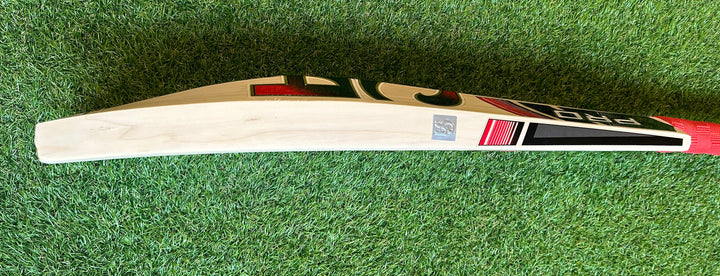 CA 15000 Performance Player Edition Cricket Bat