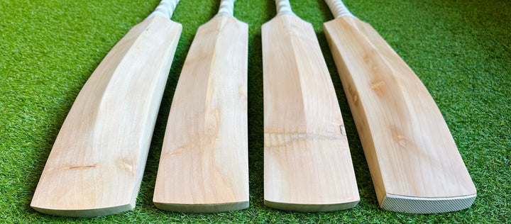 Plain Butterfly English Willow Cricket Bat