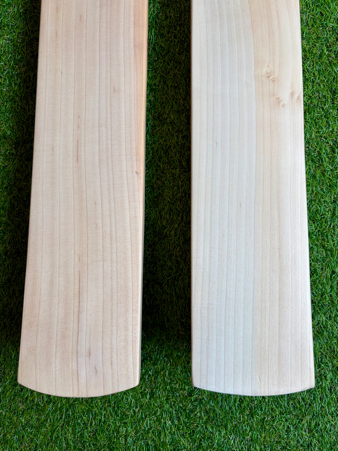 SG Pro Cricket Bat | New Model