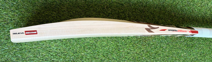SG RP Ultimate Cricket Bat | New Model