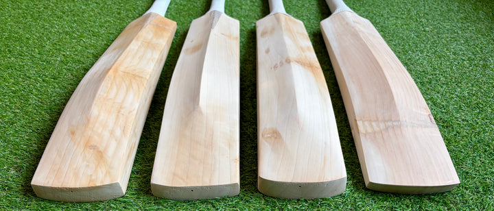 Plain Butterfly English Willow Cricket Bat