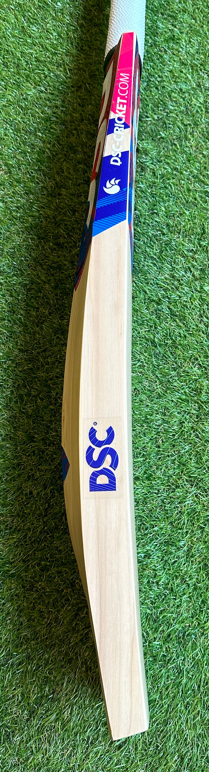 DSC Intense Rage Cricket Bat | 40mm Edges