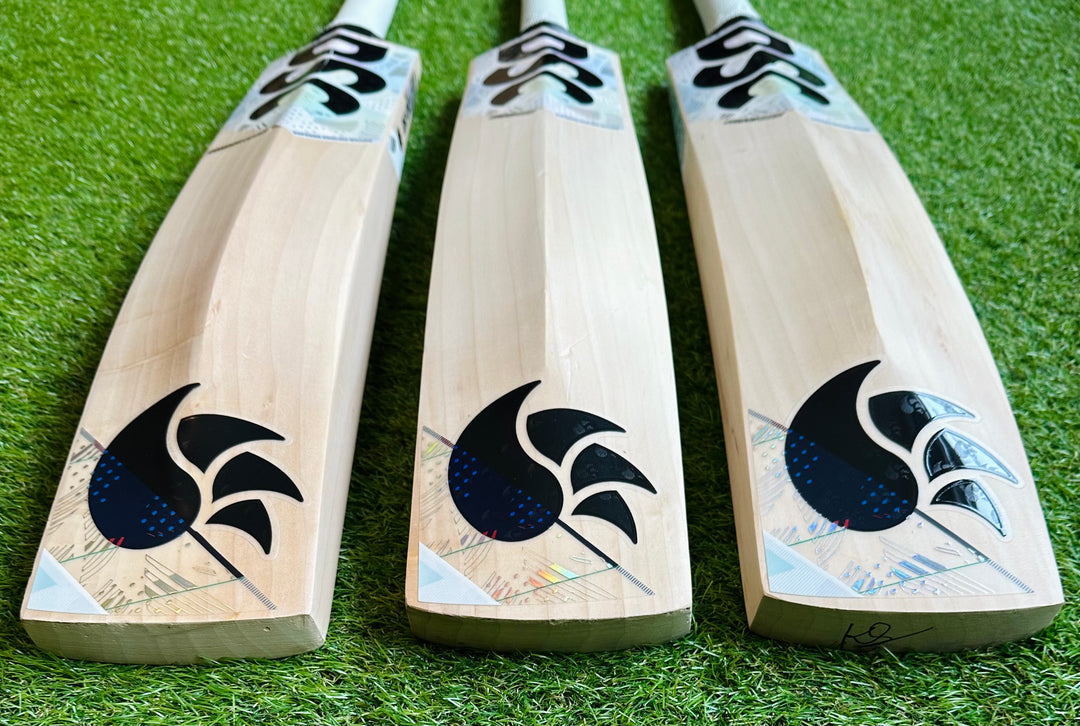 DSC Condor Glider Cricket Bat