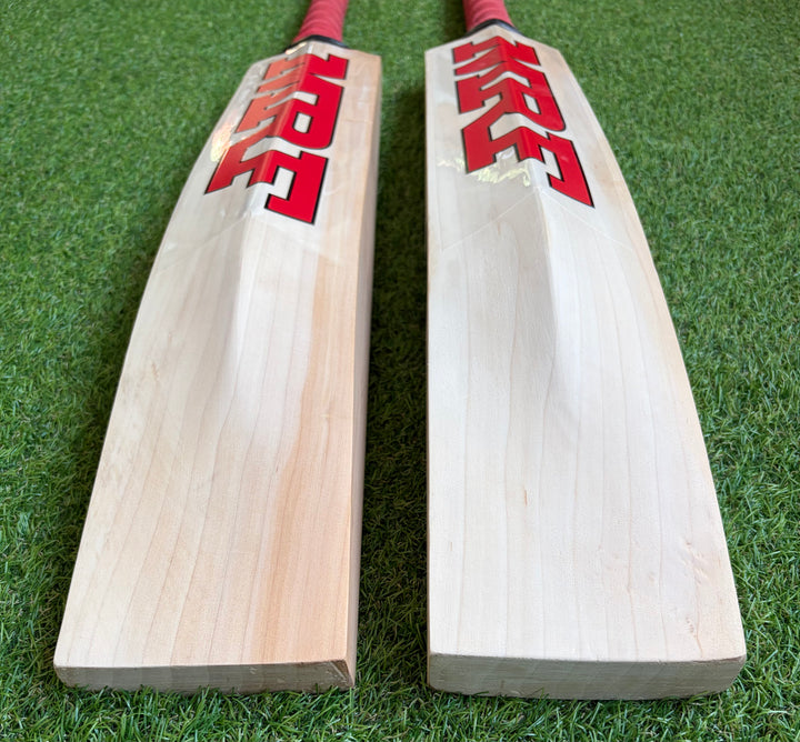 MRF Prince Edition Cricket Bat | New Model