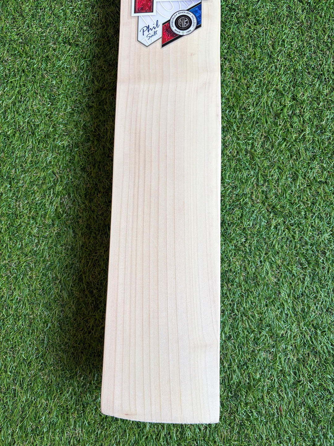 SS TON Phil Salt Players Cricket Bat | Size 6