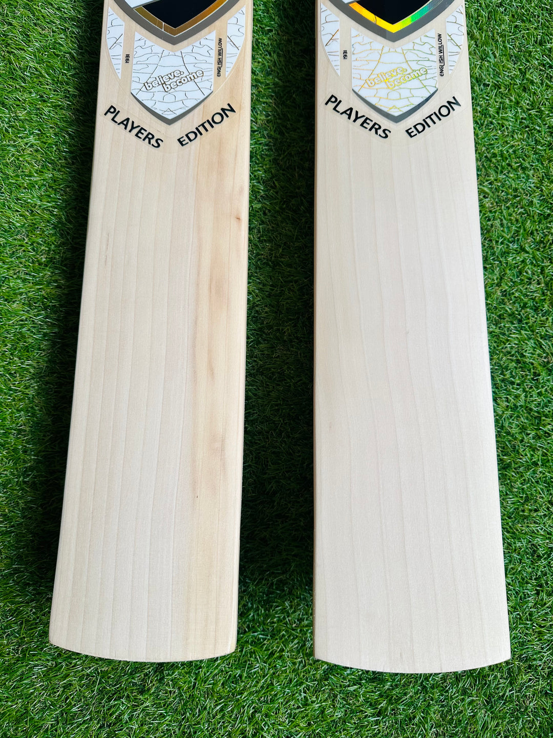 SG Players Gold Edition Harrow Cricket Bat