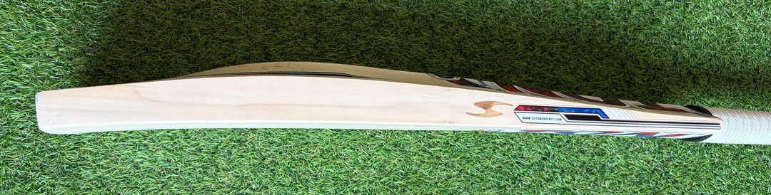SS TON Phil Salt Players Cricket Bat | Size 6
