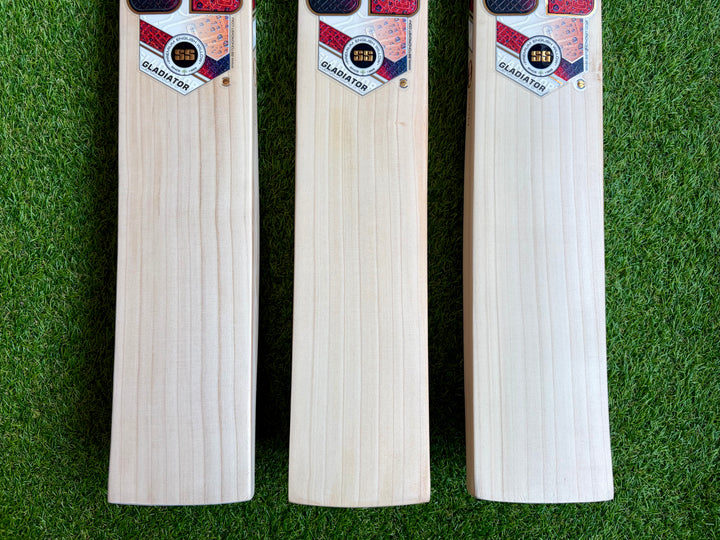 SS TON Gladiator Cricket Bat | New Model