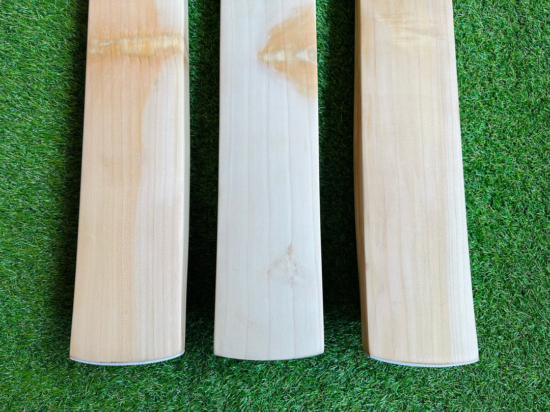 Plain Butterfly English Willow Cricket Bat