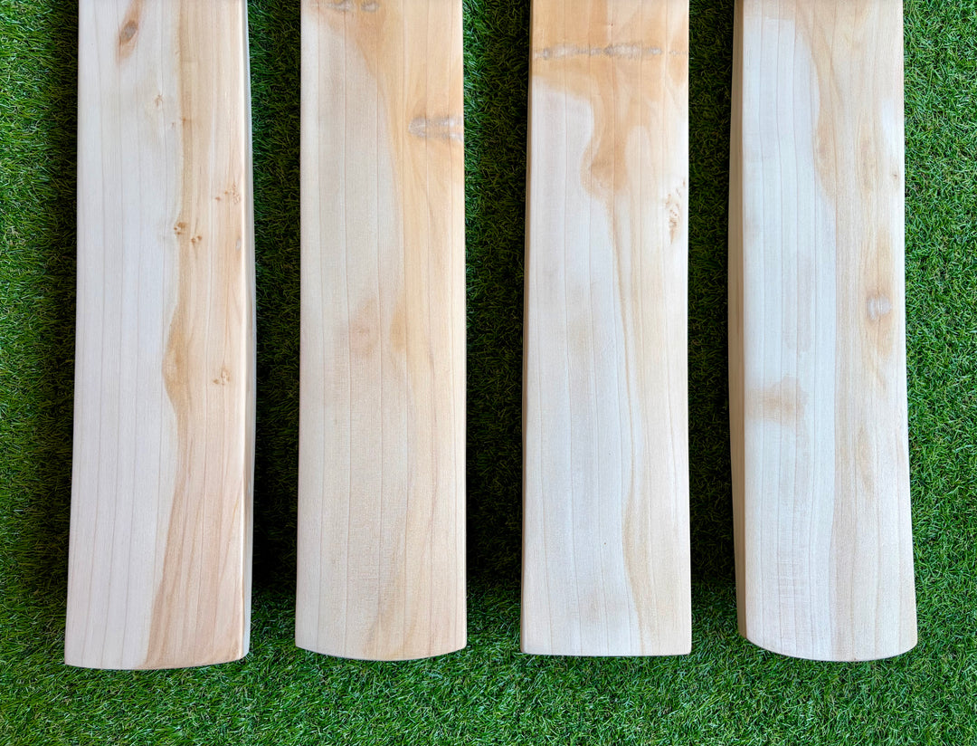 Plain Butterfly English Willow Cricket Bat