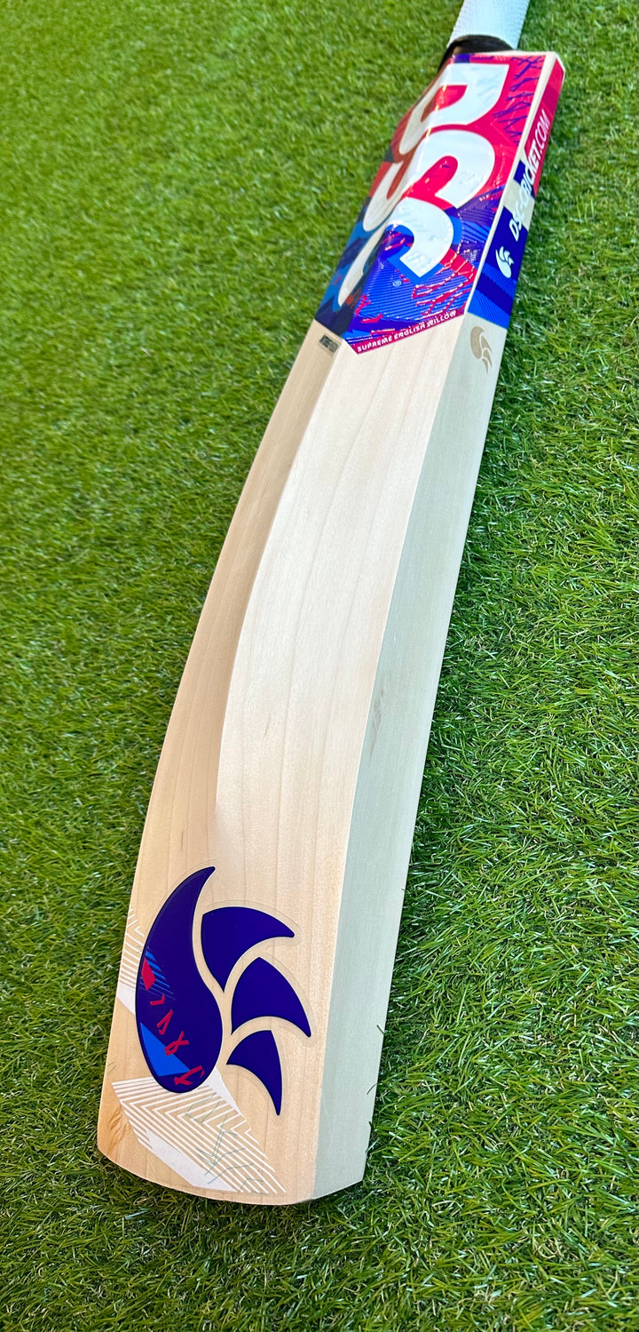 DSC Intense Passion Cricket Bat