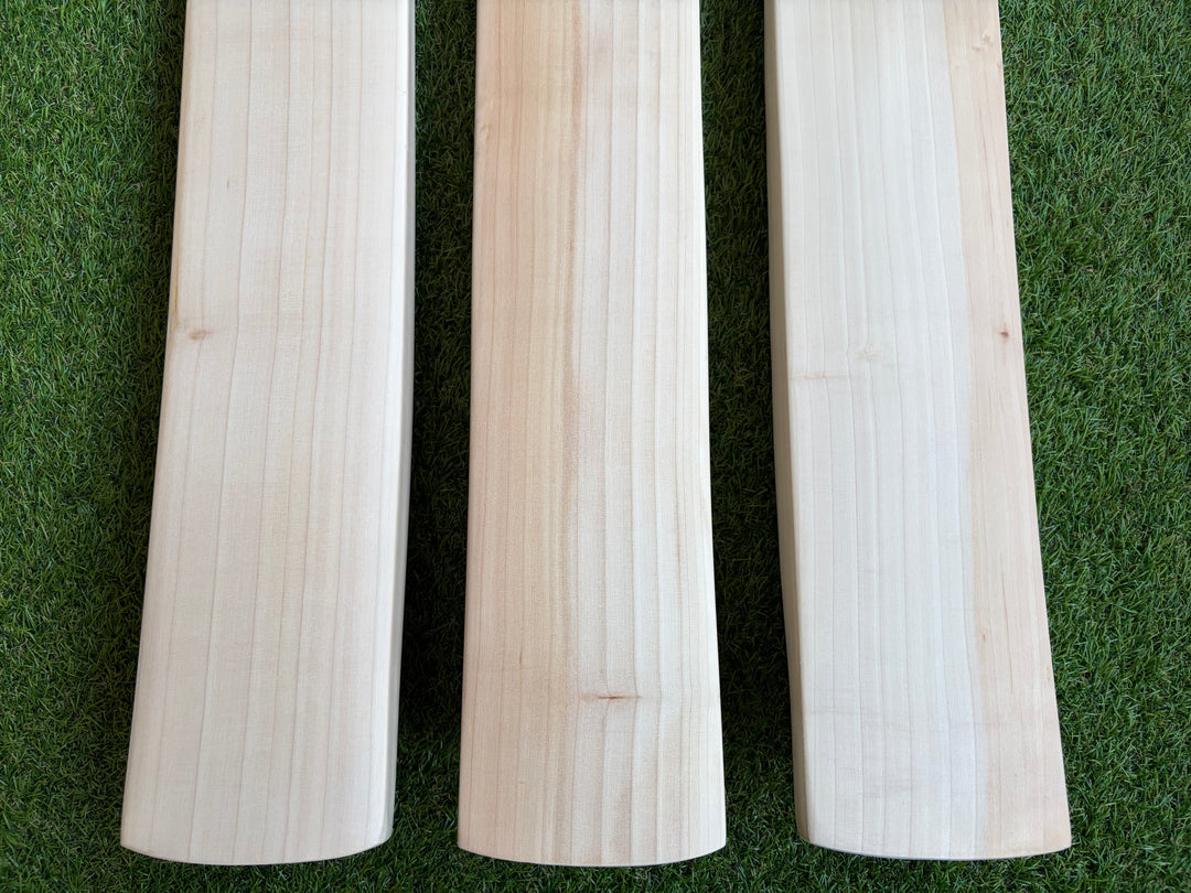 Plain Grade 1 English Willow Cricket Bat | Duckbill Profile