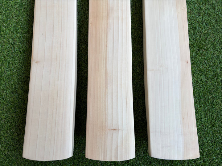 Plain Grade 1 English Willow Cricket Bat | Duckbill Profile