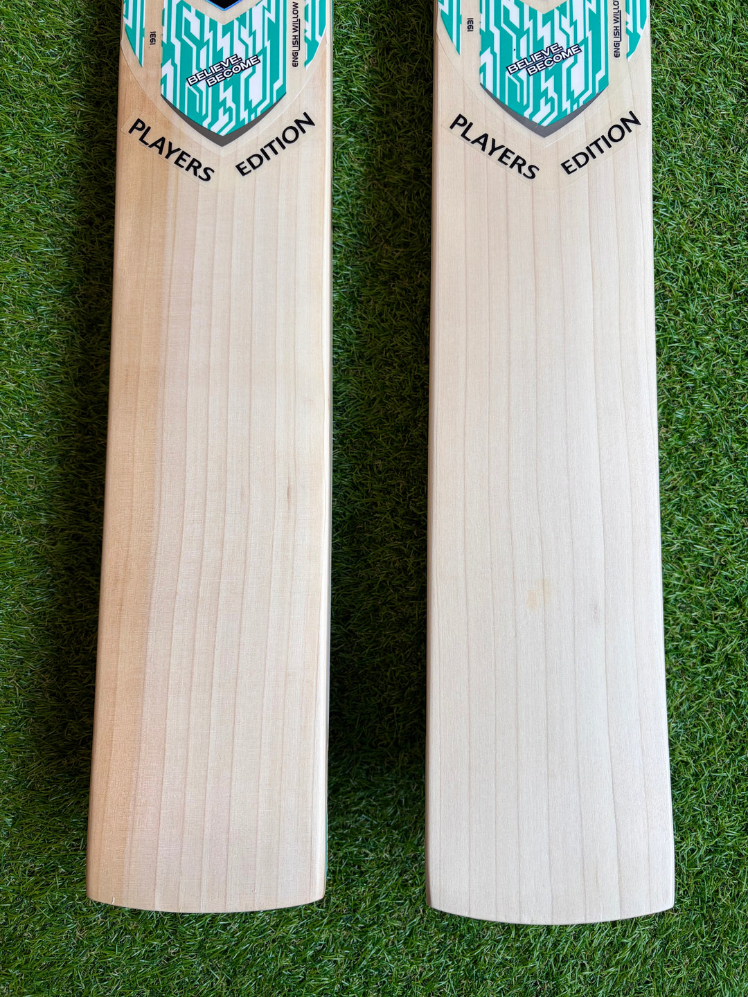 SG Players Edition Cricket Bat | New Model