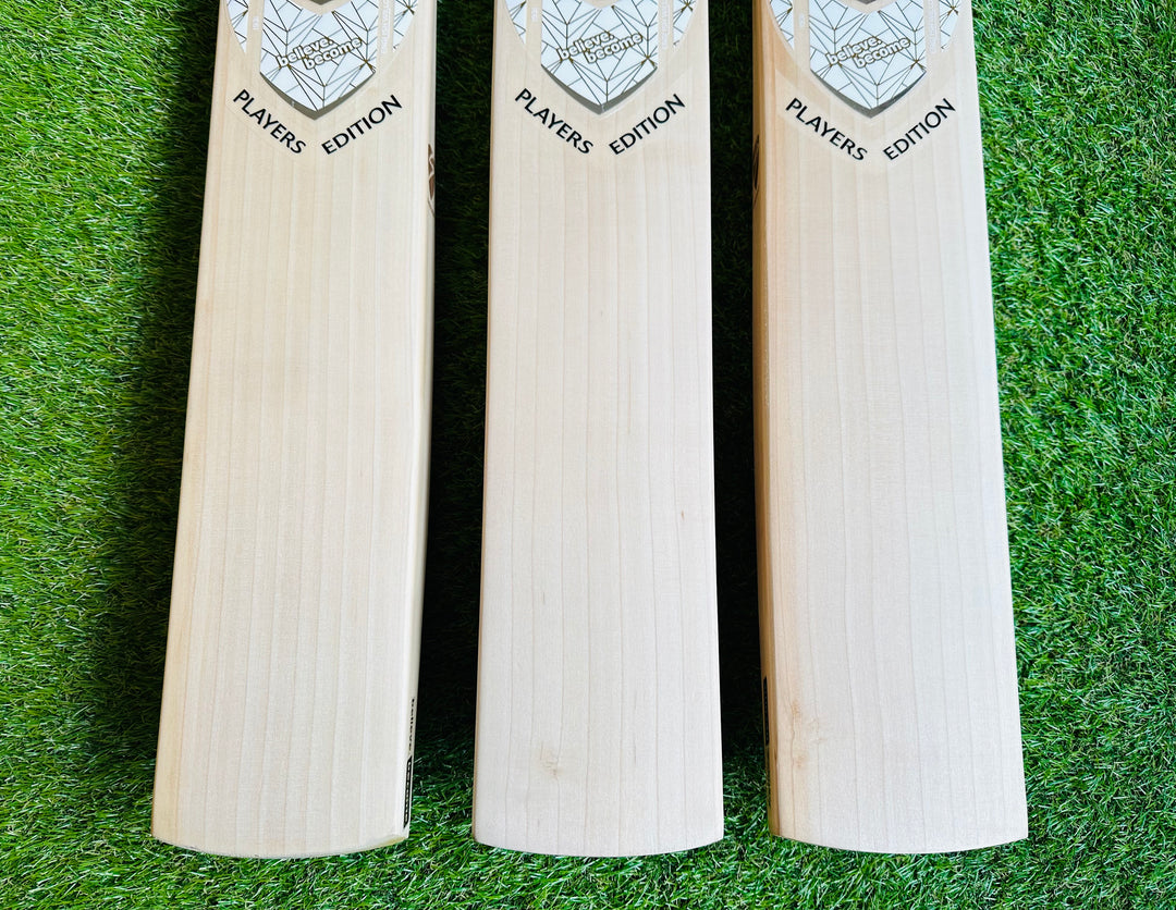 SG Players Gold Edition Cricket Bat | Players Willow