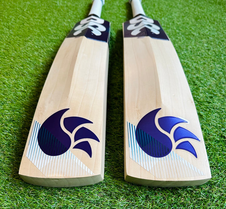 DSC Blu 222 Cricket Bat