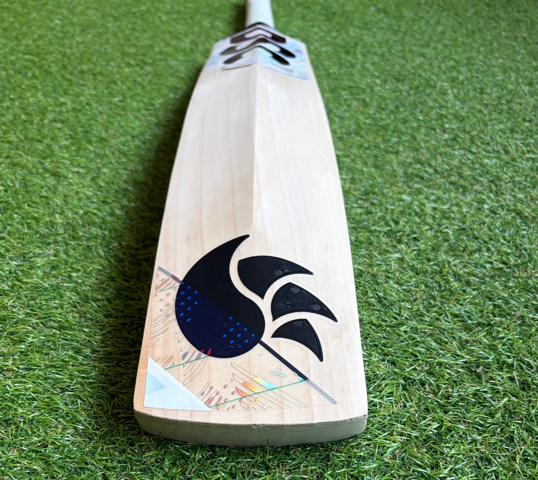 DSC Condor Glider Cricket Bat