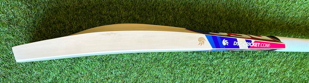 DSC Intense Passion Cricket Bat