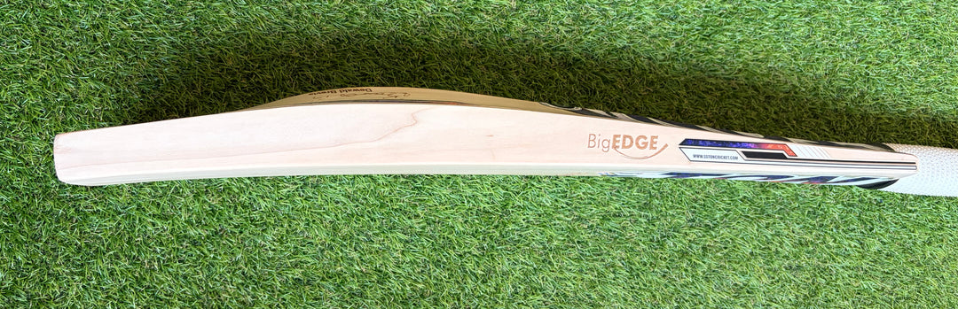 TON Players Pro Dewald Brevis Cricket Bat | New Model