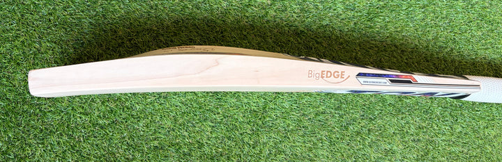 TON Players Pro Dewald Brevis Cricket Bat | New Model